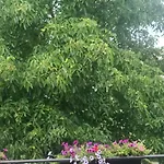 Gemuetliche In St Georgen Naehe Attersee * Vöcklabruck