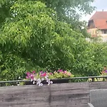 Casa vacanze Gemuetliche In St Georgen Naehe Attersee *