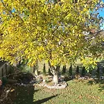 Gemuetliche In St Georgen Naehe Attersee