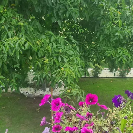 Feriehus Gemuetliche In St Georgen Naehe Attersee