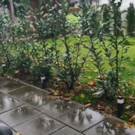 Gemuetliche In St Georgen Naehe Attersee 度假居