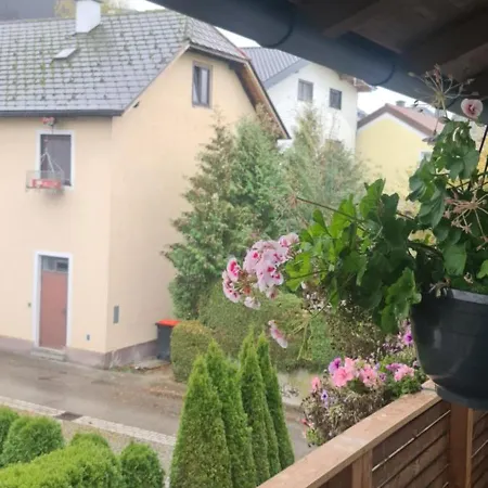 度假居 Gemuetliche In St Georgen Naehe Attersee