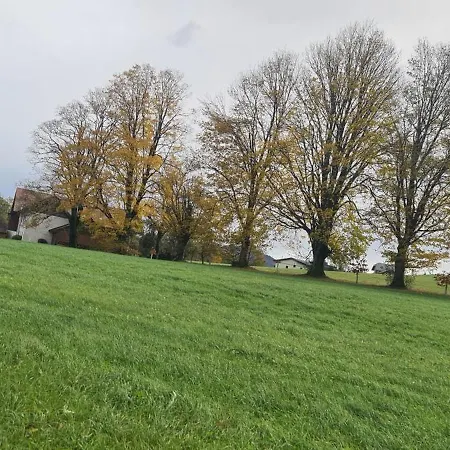 Gemuetliche In St Georgen Naehe Attersee Vöcklabruck