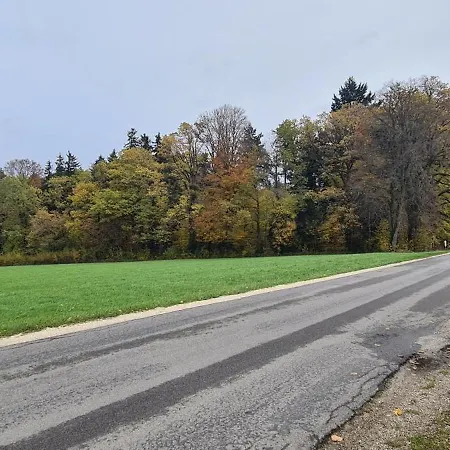 Gemuetliche In St Georgen Naehe Attersee *