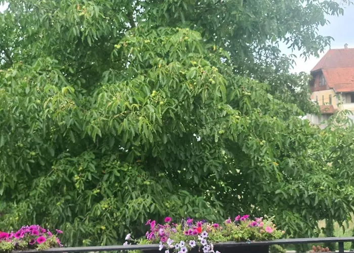 Gemuetliche In St Georgen Naehe Attersee * Vocklabruck