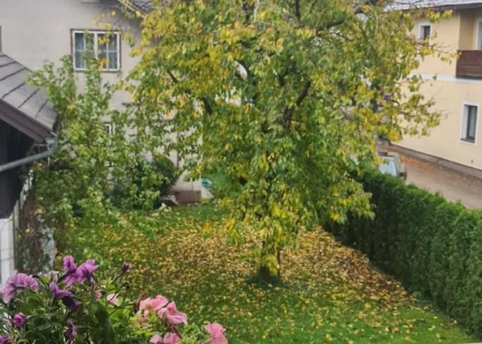 Gemuetliche In St Georgen Naehe Attersee Holiday home *