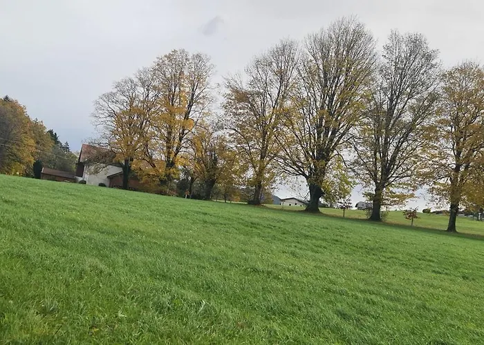 Gemuetliche In St Georgen Naehe Attersee Vocklabruck