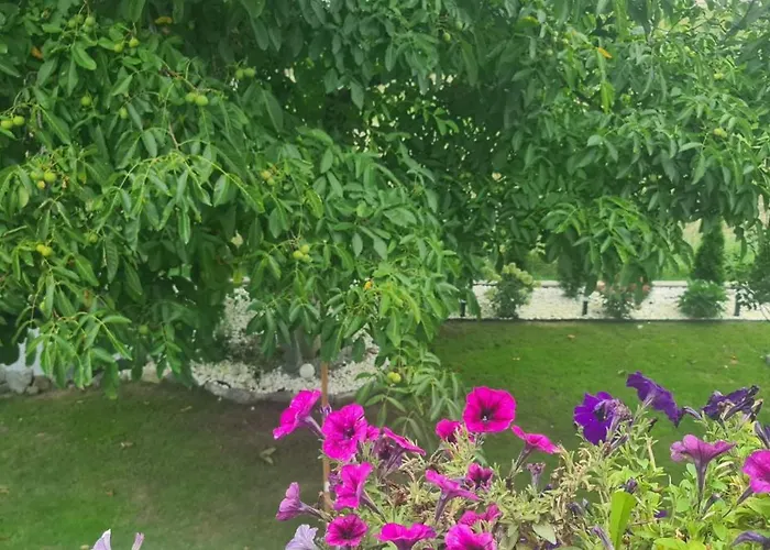 Prázdninový dům Gemuetliche In St Georgen Naehe Attersee