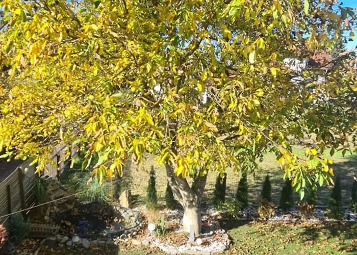 Gemuetliche In St Georgen Naehe Attersee